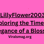 LillyFlower2003: Exploring the Timeless Elegance of a Blossom