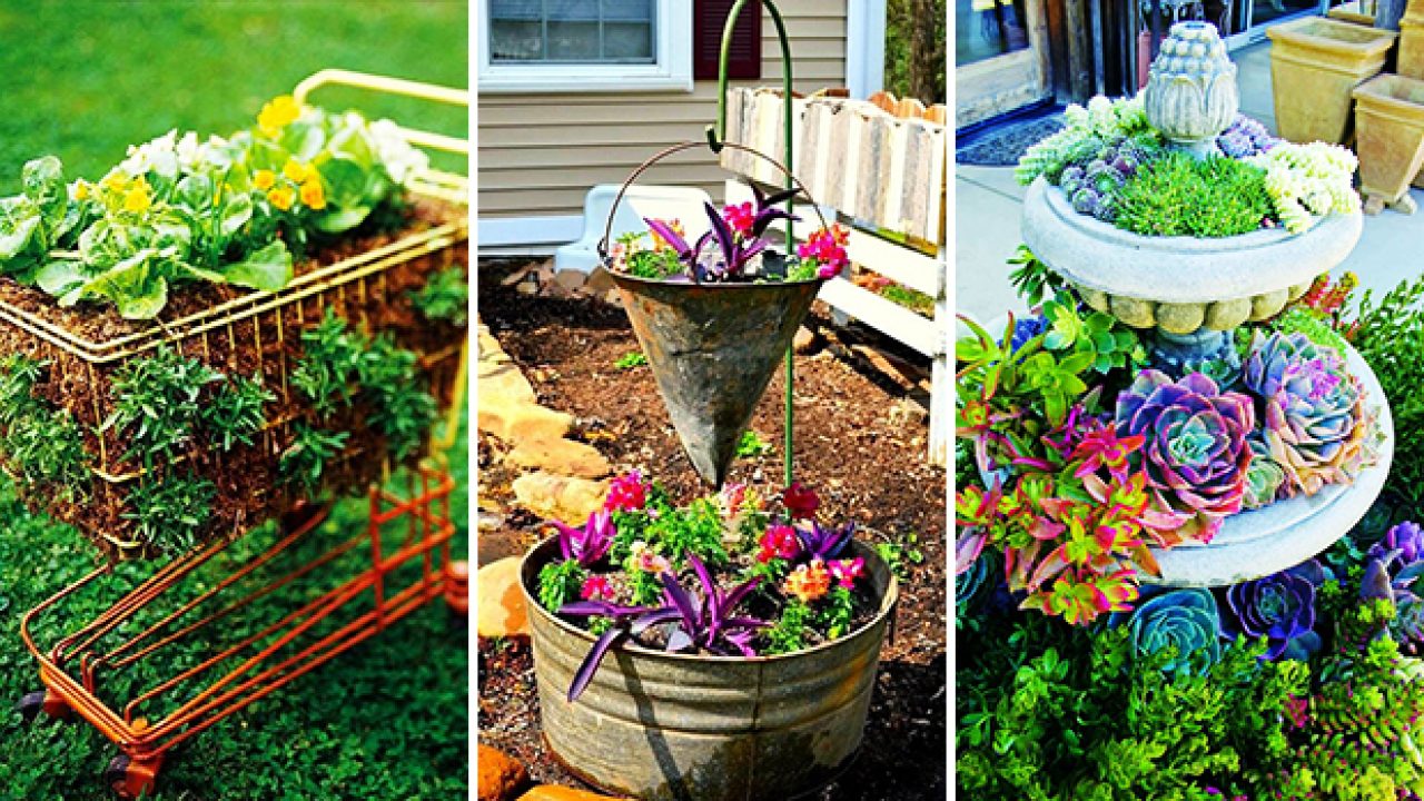Unleash Your Creativity: Unique DIY Landscaping Projects for Any Budget